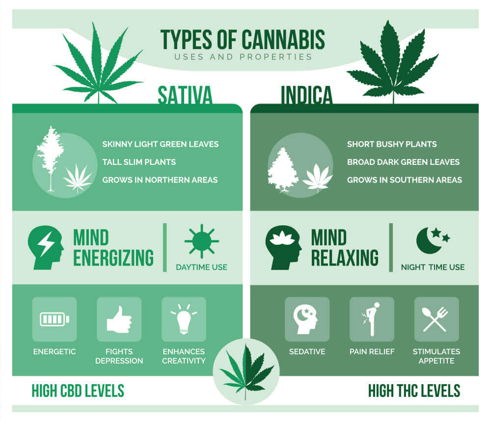 The 8Second Trick For The Indica Vs Sativa Strain Debate Are They All